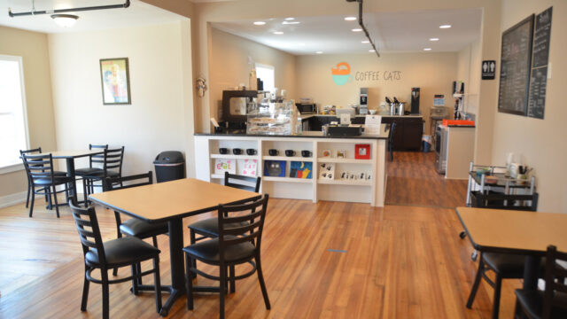 Coffee_Cats_29